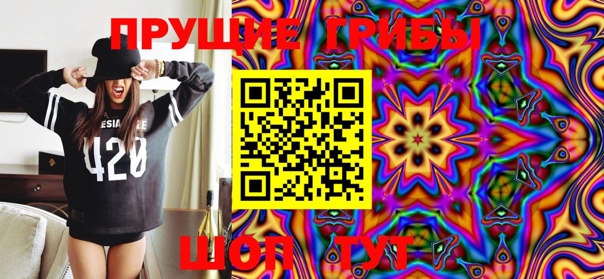 Галлюциногенные грибы GOLDEN TEACHER  Вход с VPN  Орёл 