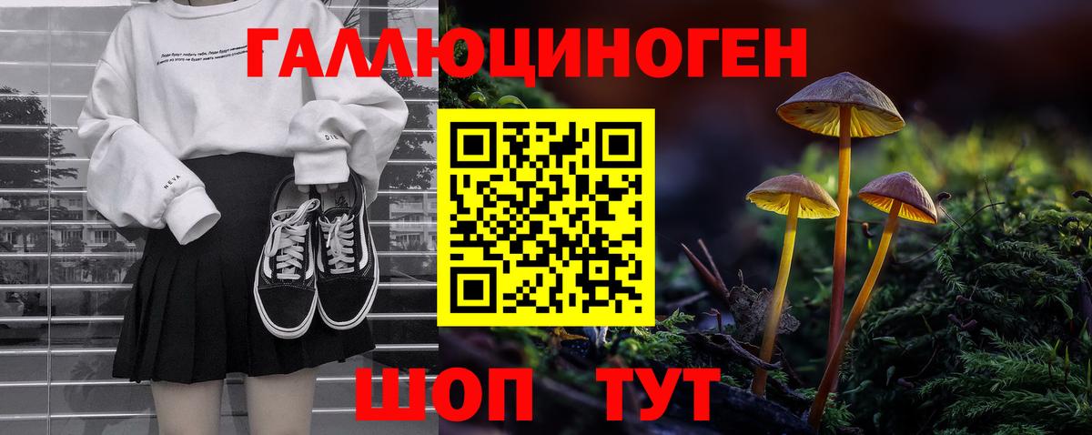 Псилоцибиновые грибы Psilocybine cubensis Орёл